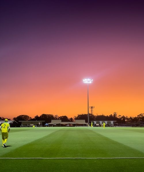 Cricket-365-Sunsetlr.jpg